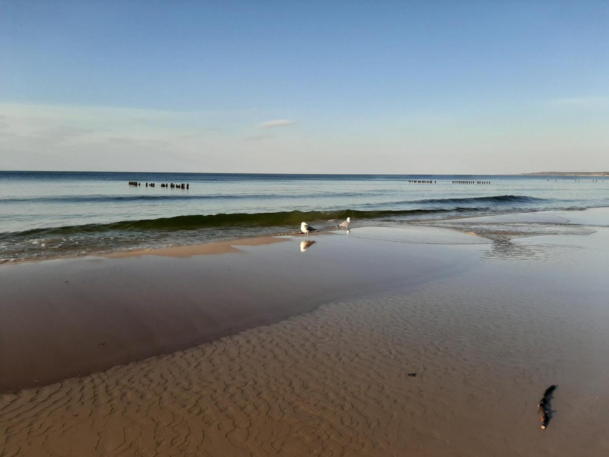 Czarcie Chatki Gardna Wielka Bagian luar foto